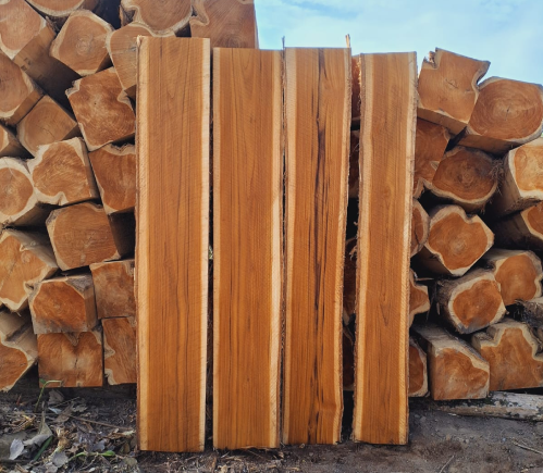 Teak Rough Squares (RSQ)